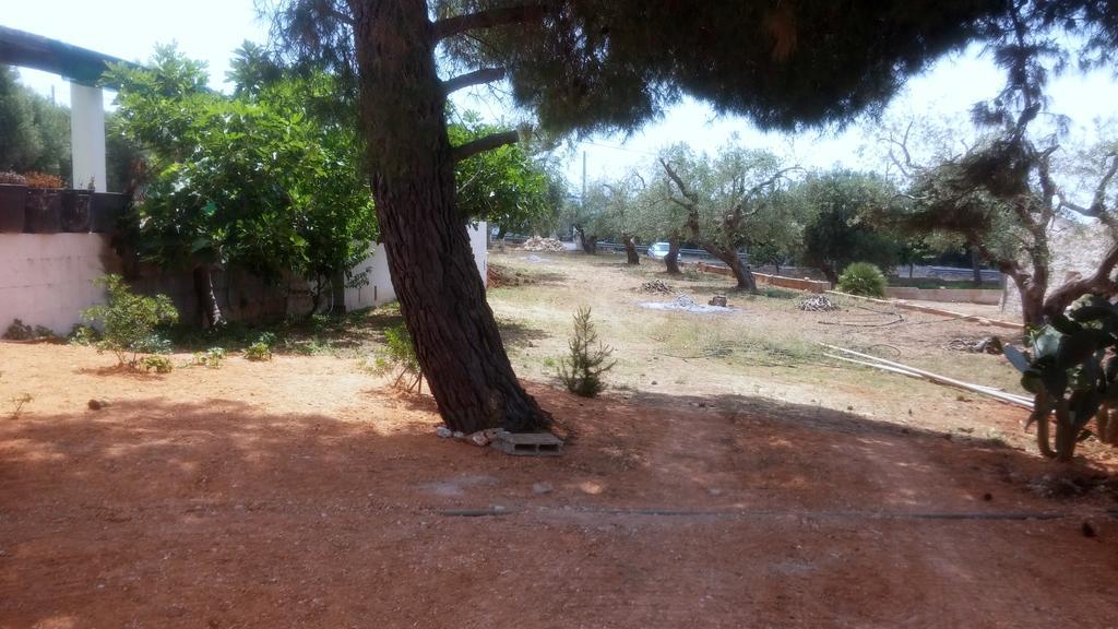 Villa "Posto Cantoro" Marina Di Pescoluse Rom bilde